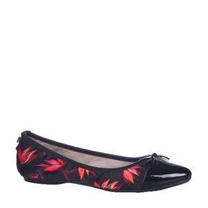 Butterfly Twists Holly Black Birds of Paradise